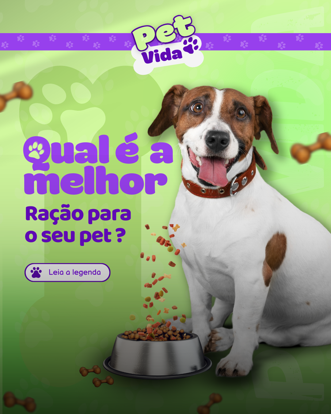 Descrição da Imagem 2