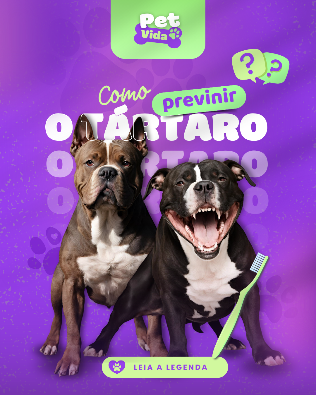 Descrição da Imagem 9